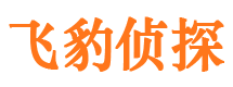 无为找人公司